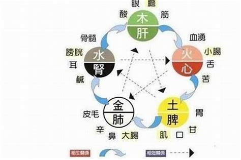 五行缺水會怎樣|五行缺水會如何 五行缺水的補救方法